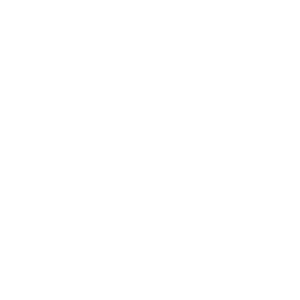 Flash CSR logo white